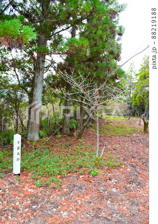 一宮城　続日本100名城 88219188
