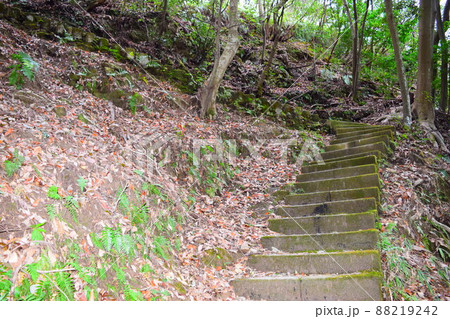 一宮城 続日本100名城 一宮城 続日本100名城 88219242