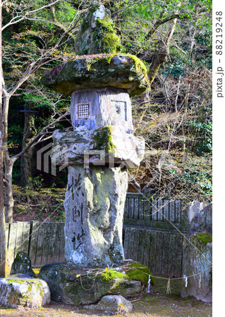 一宮城　続日本100名城 88219248