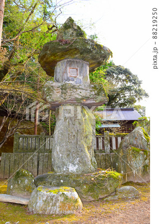 一宮城　続日本100名城 88219250