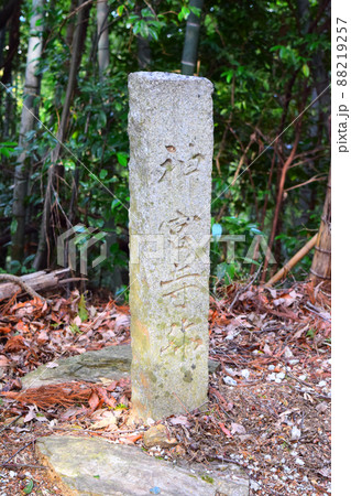 一宮城 続日本100名城 一宮城 続日本100名城 88219257
