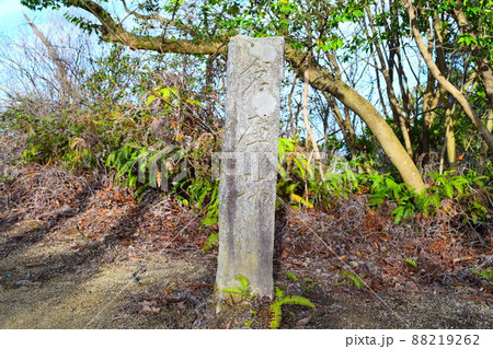一宮城 続日本100名城 一宮城 続日本100名城 88219262