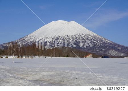 有島記念館付近から見る2022年3月末の羊蹄山 88219297
