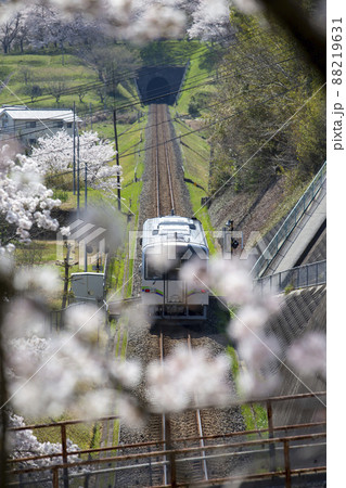 春色に染まる鉄道 春色に染まる鉄道 88219631