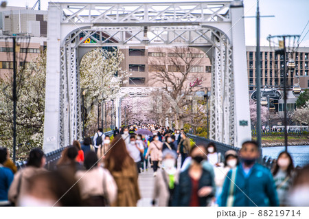 日本の横浜都市景観 解除されたまん延防止…汽車道の桜が満開で多くの花見客が…=3月30日 日本の横浜都市景観 解除されたまん延防止…汽車道の桜が満開で多くの花見客が…=3月30日 88219714