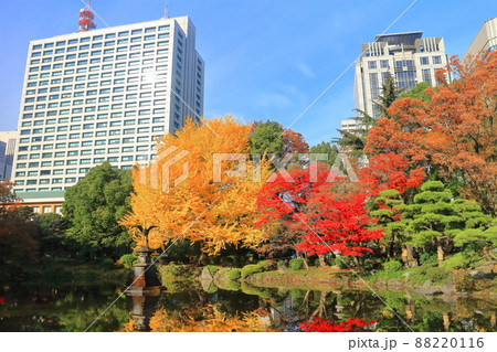 【東京都】晴天下の雲形池紅葉と霞が関高層ビル(日比谷公園) 【東京都】晴天下の雲形池紅葉と霞が関高層ビル(日比谷公園) 88220116