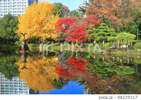 【東京都】晴天下の雲形池紅葉と霞が関高層ビル（日比谷公園） 88220117