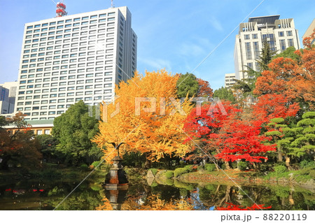 【東京都】晴天下の雲形池紅葉と霞が関高層ビル(日比谷公園) 【東京都】晴天下の雲形池紅葉と霞が関高層ビル(日比谷公園) 88220119