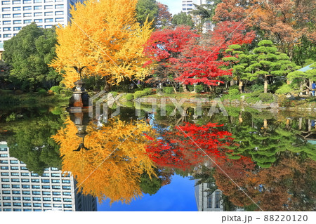 【東京都】晴天下の雲形池紅葉と霞が関高層ビル（日比谷公園） 88220120