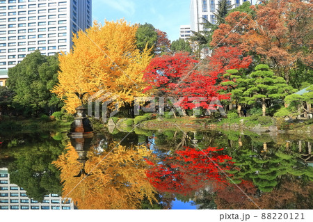 【東京都】晴天下の雲形池紅葉と霞が関高層ビル（日比谷公園） 88220121