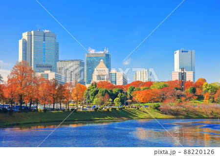 【東京都】晴天下の国会議事堂と紅葉（皇居　桜田濠） 88220126
