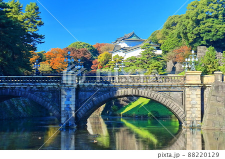 【東京都】晴天下の正面石橋と伏見櫓の紅葉（皇居外苑） 88220129