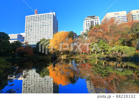 【東京都】晴天下の雲形池紅葉と霞が関高層ビル（日比谷公園） 88220132