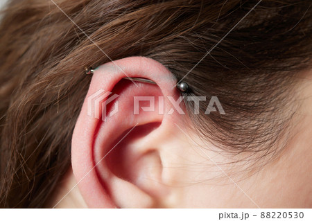 Stretched lobe piercing, grunge concept. Pierced woman ear with black plug tunnel. industrial and rook. Stretched lobe piercing, grunge concept. Pierced woman ear with black plug tunnel. industrial and rook. 88220530