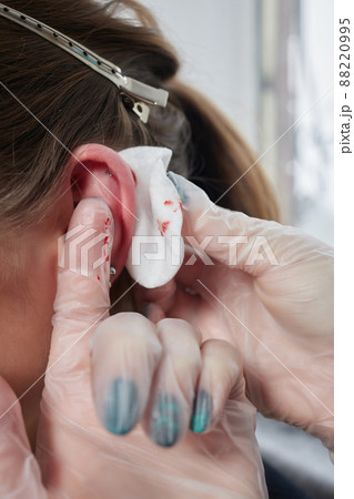 piercings on an ear. Conch and helix piercings close up. 88220995
