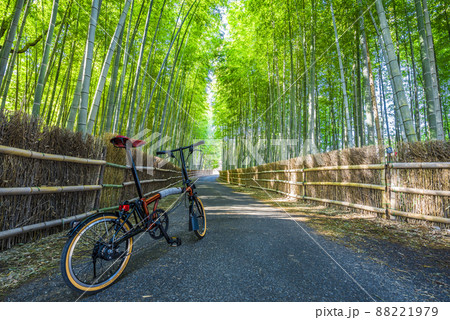 《愛知県》知多市 ちたの竹林 《愛知県》知多市 ちたの竹林 88221979