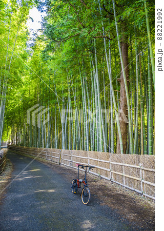 《愛知県》知多市　ちたの竹林 88221992