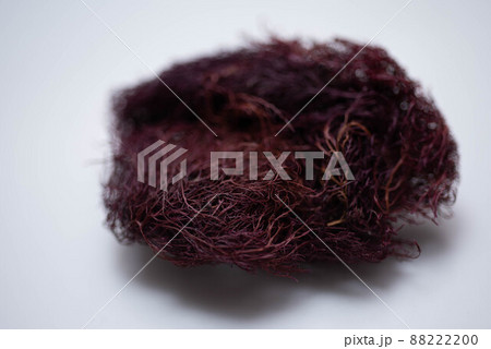 乾燥テングサ 乾燥テングサ 88222200