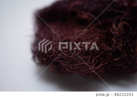 乾燥テングサ 88222201