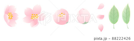 桜(ベクター) 88222426