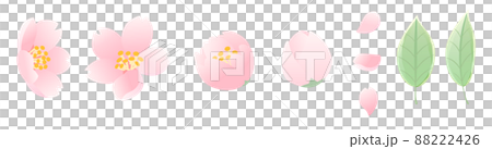 桜(ベクター) 88222426