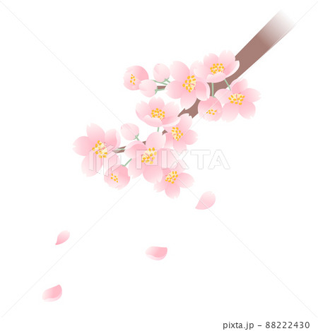 桜(ベクター) 88222430