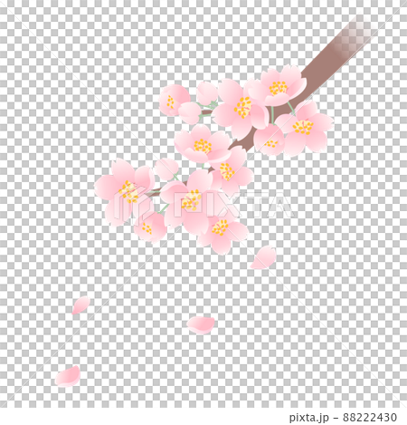桜(ベクター) 88222430
