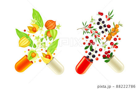 Vitamins and supplements. Open capsules with herbs and berries splashes vector illustration 88222786
