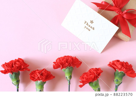 カーネーションとメッセージカードとプレゼント 88223570