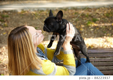woman sitting on a bench with french bulldog 88223937