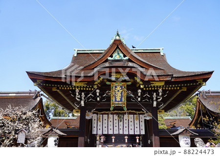 北野天満宮　京都 88224473