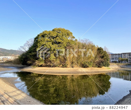 春の纏向勝山古墳 88224947