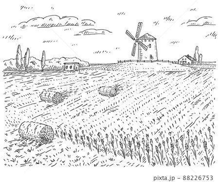Windmill on wheat field. Vintage vector black engraving illustration 88226753