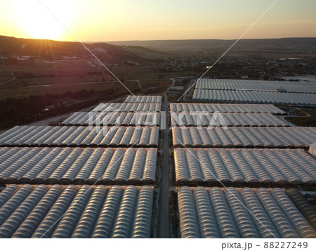 Aerial drone view of huge areas greenhouse for growing vegetables. Greenhouse farming, agriculture industry. Flying over large industrial greenhouses at sunset. 88227249
