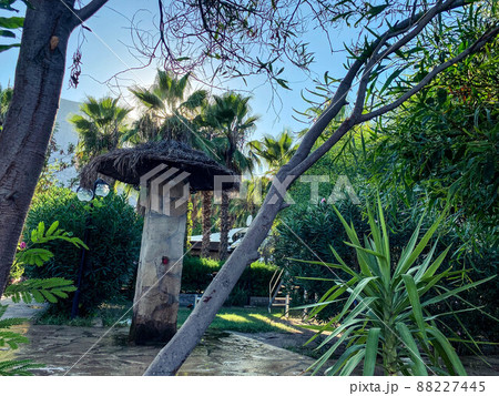 Gulf of Aqaba Red sea bay beach scenic landscape photography in the most south Israeli city Eilat in summer vacation season time, palm trees and straw umbrellas on blue sky background. Gulf of Aqaba Red sea bay beach scenic landscape photography in the most south Israeli city Eilat in summer vacation season time, palm trees and straw umbrellas on blue sky background. 88227445