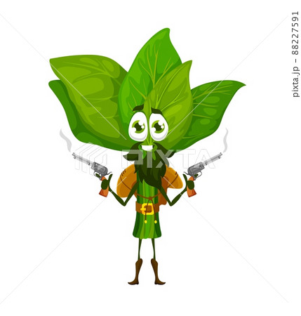 Cartoon cowboy or ranger spinach character. Funny vector robber or gangster bandit wear hat, belt and boots stand with steaming guns. Isolated fantasy food, western greenery adventurer personage 88227591