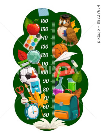 Cartoon school kids height chart ruler. Vector growth meter with owl, apple, paints and magnifier, pen sharpener, balls and glue, brush, scissors, alarm clock, textbook and rucksack with autumn leaves 88227654