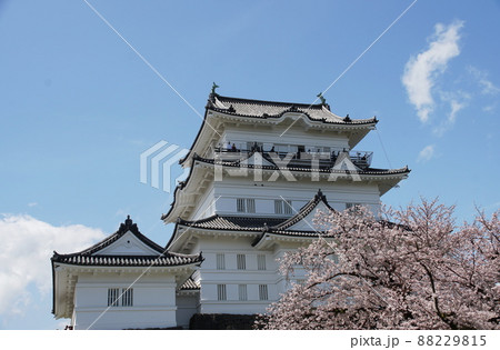 小田原城 Odawara Castle 小田原城 Odawara Castle 88229815