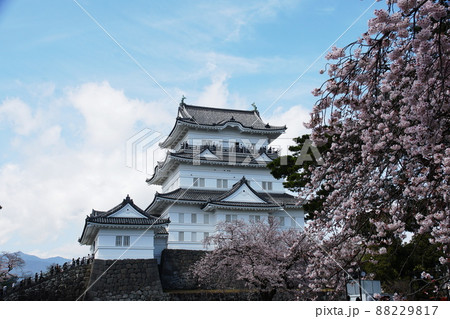 小田原城　Odawara Castle 88229817