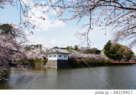 小田原城　Odawara Castle 88229927
