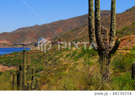 Desert Lake Bridge 88230258