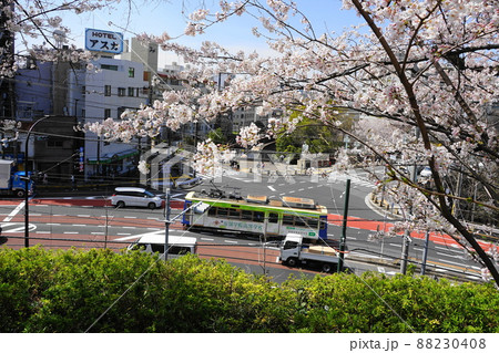3月 北区141都電荒川線と飛鳥山公園の桜・音無橋交差点 3月 北区141都電荒川線と飛鳥山公園の桜・音無橋交差点 88230408