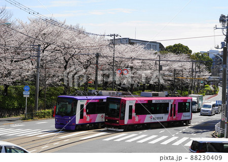 3月　北区142桜満開の飛鳥山公園と都電荒川線 88230409