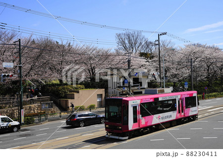 3月 北区144桜満開の飛鳥山公園と都電荒川線 3月 北区144桜満開の飛鳥山公園と都電荒川線 88230411