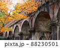 秋の京都　水路閣の紅葉 88230501