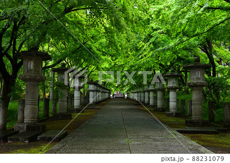 青紅葉の高山寺 88231079