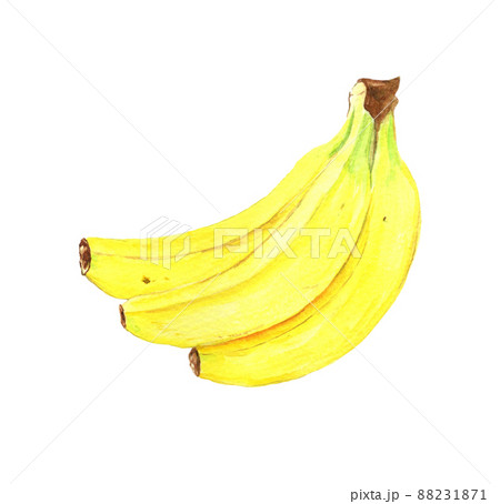 手書き水彩の美味しそうなバナナのイラストのイラスト素材 1871 手書き水彩の美味しそうなバナナのイラストのイラスト素材 1871