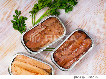 Canned seafood, melva fish fillets preserved in oi Canned seafood, melva fish fillets preserved in oi 88236369
