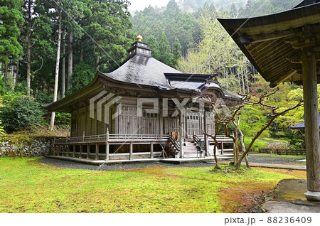 文保寺より 88236409