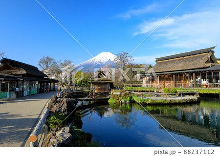 桜咲く春の忍野八海　　山梨県忍野村 88237112